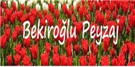 Bekiroğlu Peyzaj - İzmir